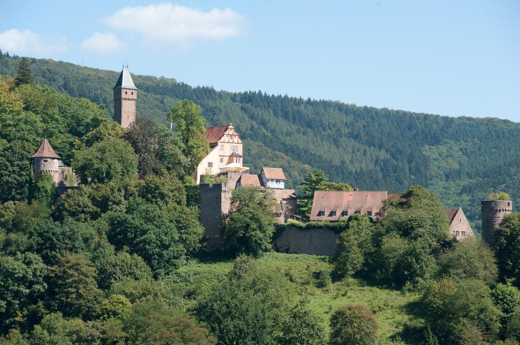 Schlosshotel Hirschhorn Extérieur photo